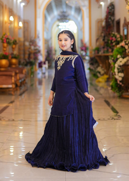 Seerat HALIMA girls dark blue luxury silk lehenga choli - Front View
Detailed Adda work and tassels on Seerat HALIMA dark blue silk kurti
Textured Chamooz crush silk lehenga in dark blue by Seerat