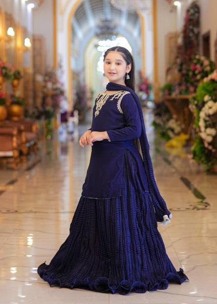 Seerat HALIMA girls dark blue luxury silk lehenga choli - Front View
Detailed Adda work and tassels on Seerat HALIMA dark blue silk kurti
Textured Chamooz crush silk lehenga in dark blue by Seerat