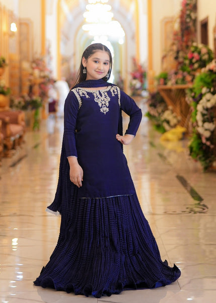 Seerat HALIMA girls dark blue luxury silk lehenga choli - Front View
Detailed Adda work and tassels on Seerat HALIMA dark blue silk kurti
Textured Chamooz crush silk lehenga in dark blue by Seerat