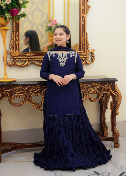 Seerat HALIMA girls dark blue luxury silk lehenga choli - Front View
Detailed Adda work and tassels on Seerat HALIMA dark blue silk kurti
Textured Chamooz crush silk lehenga in dark blue by Seerat